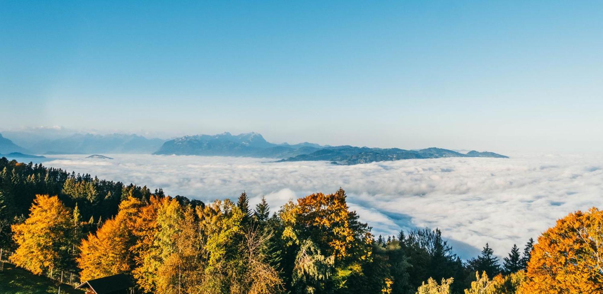Seeblick Bregenz - Mit Parkgarage Εξωτερικό φωτογραφία